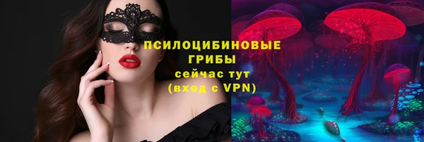 a pvp Алексеевка