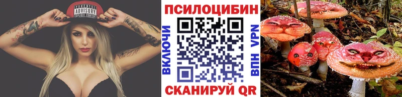 наркота  Киреевск  Псилоцибиновые грибы MAGIC MUSHROOMS 